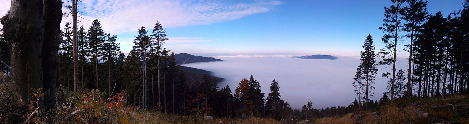 Wanderurlaub im Wellnesshotel Zum Bräu Bayerischer Wald